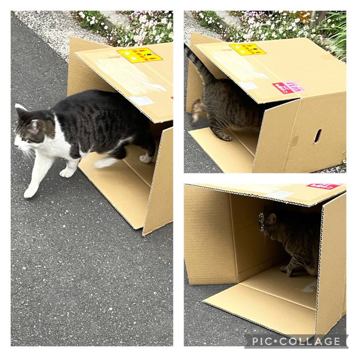 5c47b1d0 9135 414c 8d01 b2849435486b 1618644253318