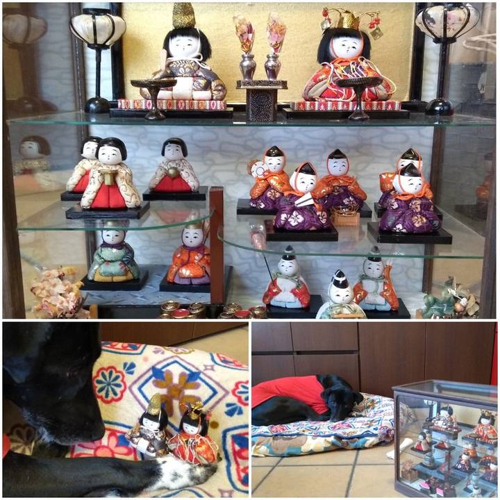 5c47cac3 9ef5 4356 b15a 70667d98518d 1613628287476