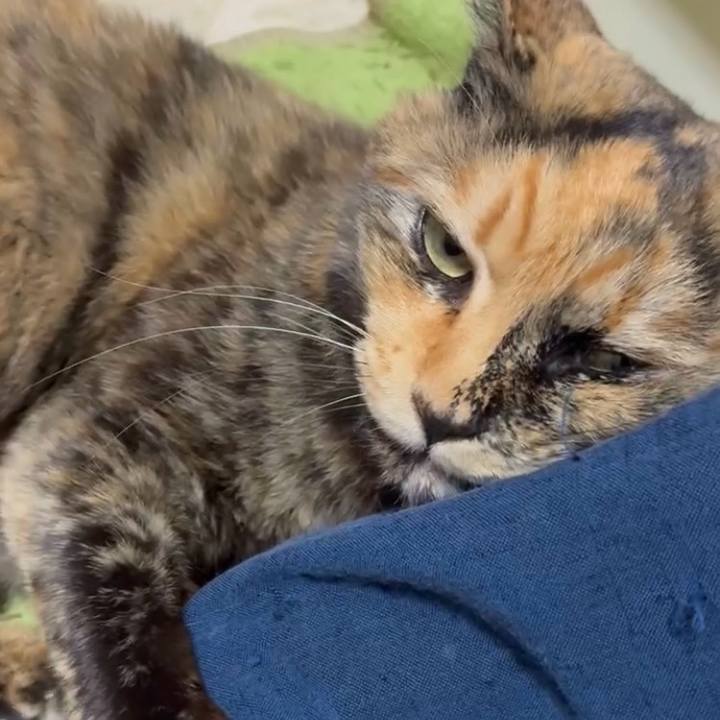 5c47cbc0 0dde 450e 81ce 7a5891ceefa6 1772459186160