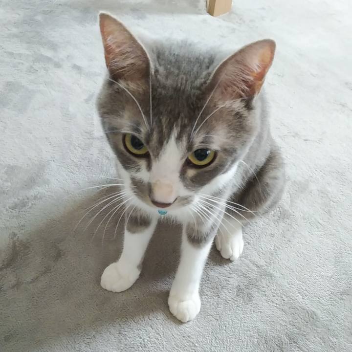 5c47f1d6 99a7 4740 a79a f6b33cdbc0d2 1592433461644