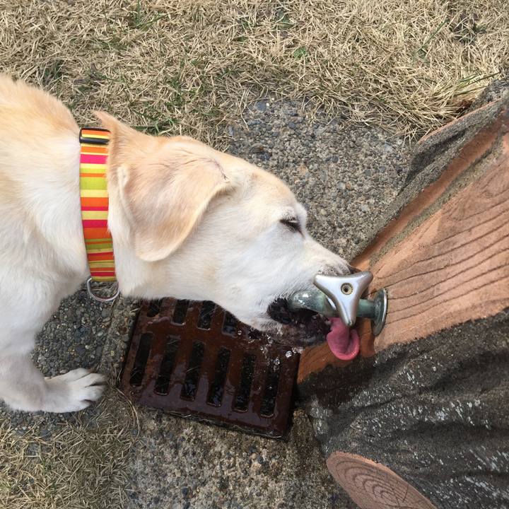 5c4803eb 9054 4782 93b5 8d7a04a7014a 1522565953371