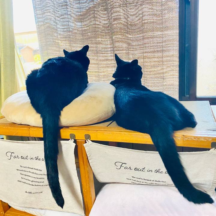 5c481992 3ecc 48d6 a640 0e88cde61c93 1689602361930