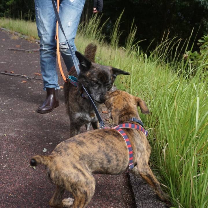 5c48235e 4869 4ee5 b679 1c2c5d24da26 1569669773401