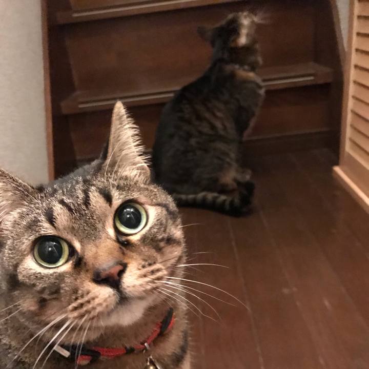 5c483078 2437 4272 8d0c 8dec0a1d6c6b 1613735828512