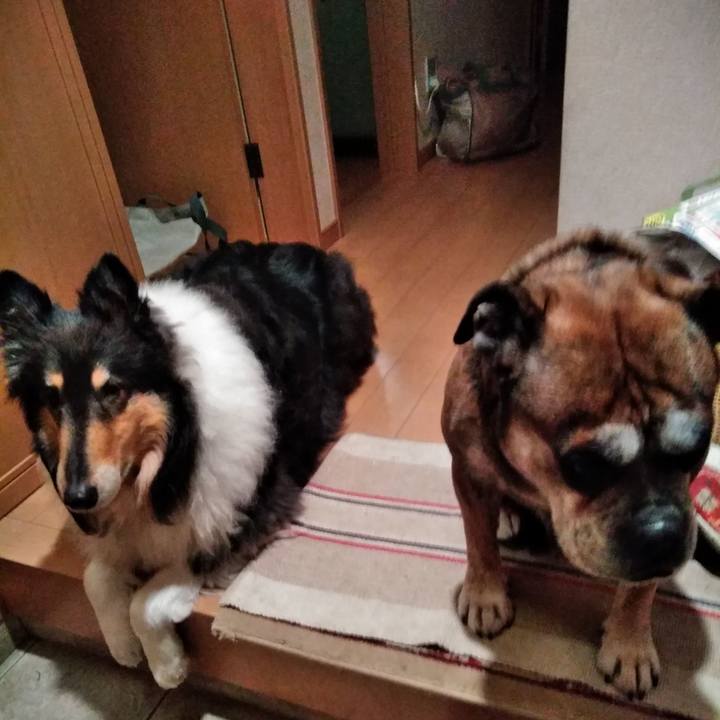 5c486a31 655d 4d8c b0ce 88dc8be50709 1518701379744