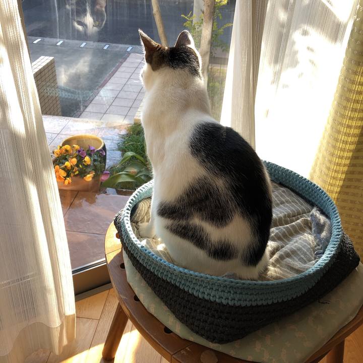 5c488e9f a0d9 4eeb bab7 039b6840f470 1612421542342