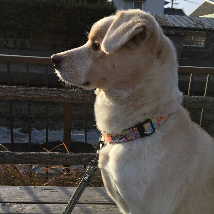 5c48c767 755e 4589 a26b 3834ea65439b 1516937317815