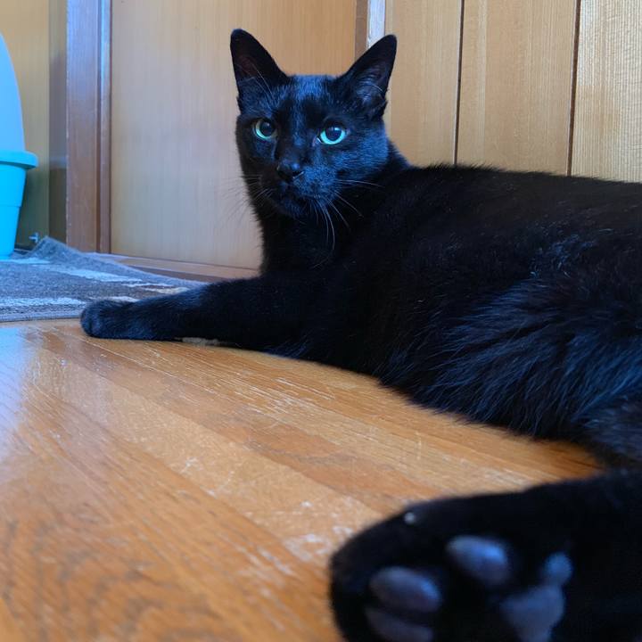 5c48d56a 2420 45e6 81e6 de5eaa0226cf 1540602998636