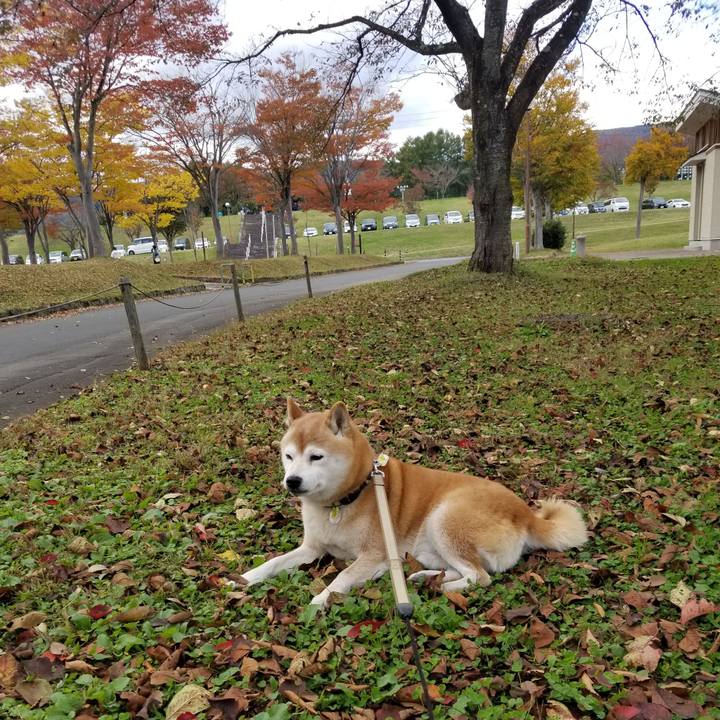 5c48e066 9c46 49b0 900b 61bda9011531 1667023272062