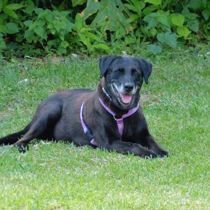 5c4937e6 2dca 4892 a98c ef4ebe43006b 1535680322393