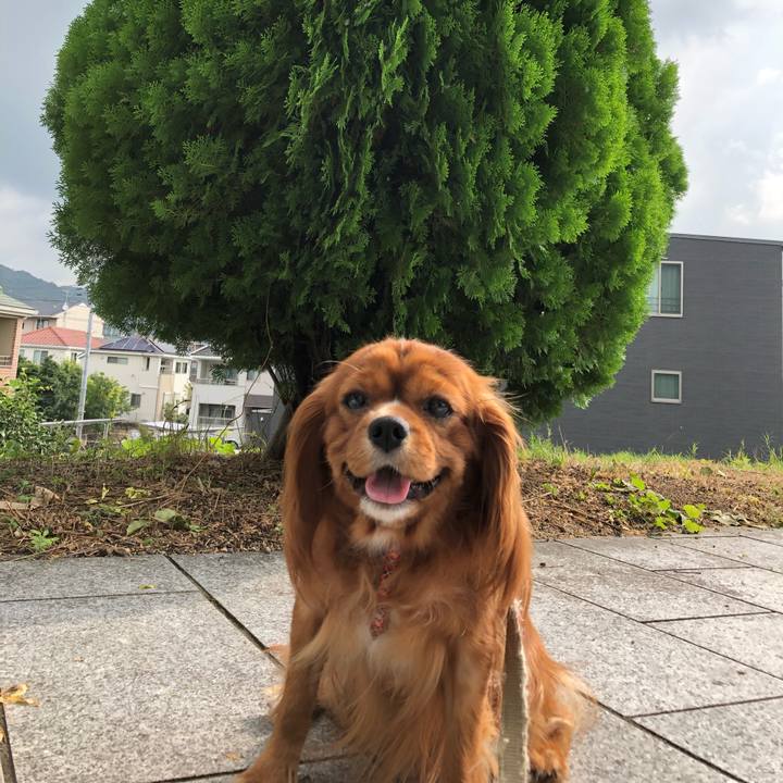 5c4957b7 b3bc 4e40 a177 e3bdec7634bd 1566016375404