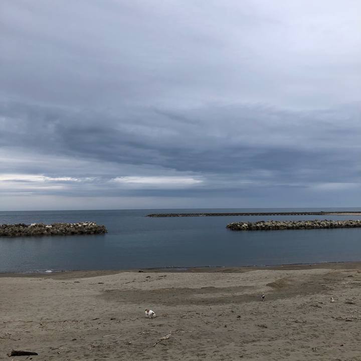 5c4978f1 d1cc 4e96 8682 c837d1551c87 1585701104860