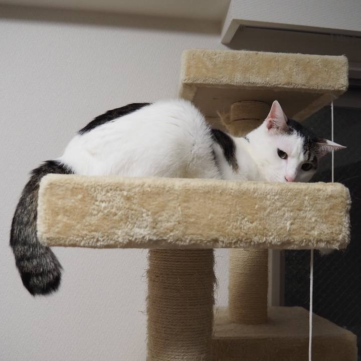 5c497a5e 4253 468d ae65 bb0f611ad2cb 1554815270214