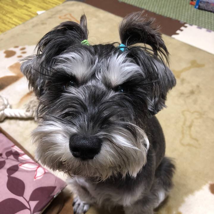 5c498c71 9903 4e6d 9e6e bf661353cc80 1511917270704