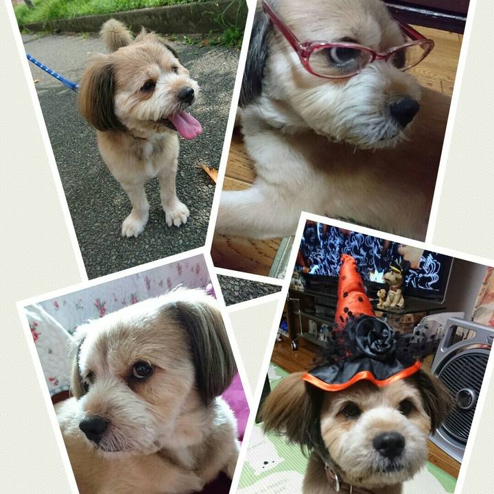 5c49a2cd 6a1c 4f59 9594 8982a68a1413 1523852051329