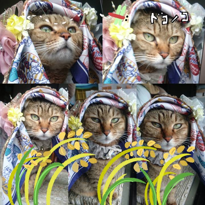 5c4a14ed 8a9e 4ad8 9028 898674c22116 1761346782555