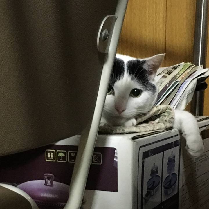 5c4a30b4 fc95 47df 9909 53ee07ac8dbb 1531836508255