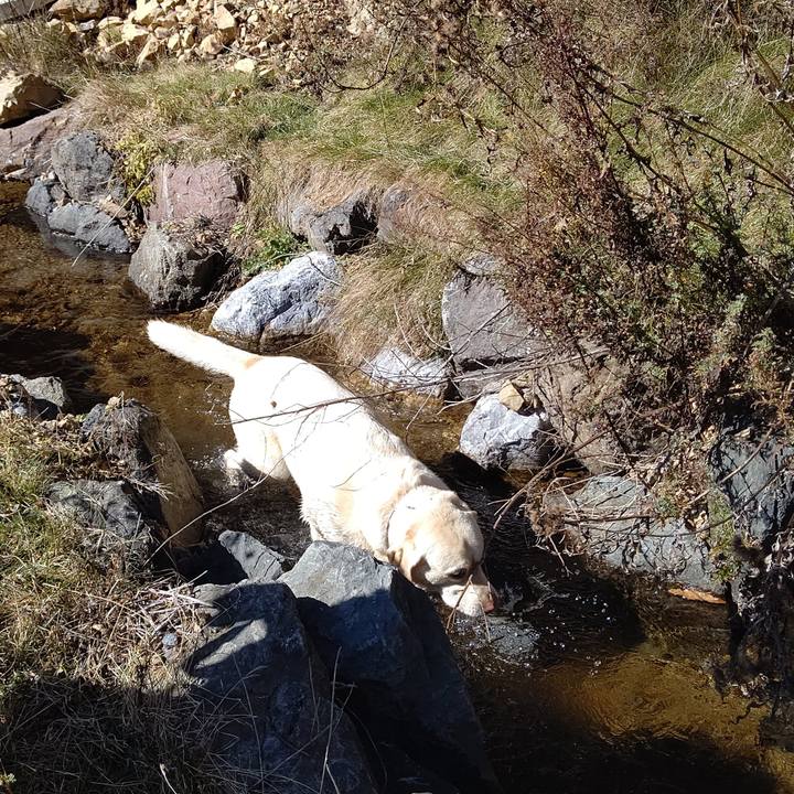 5c4a4e86 b565 4fc0 a08f 55915457c33e 1636009034510