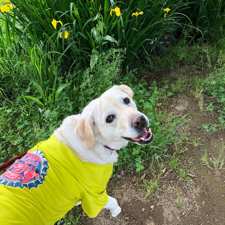 5c4a4f76 6531 4894 92e6 243d7a3d2caa 1652995422744