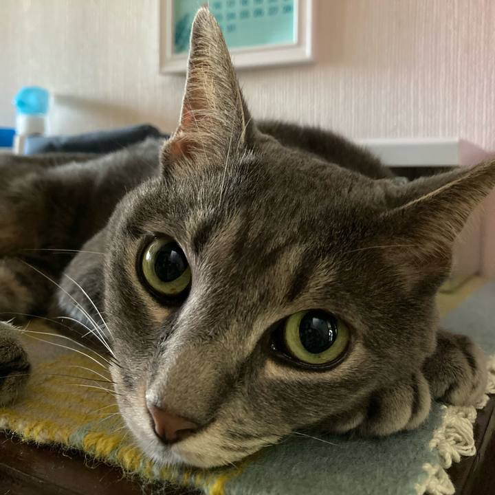 5c4a6890 b52d 4a95 bc8b 507c905b6623 1627780027624