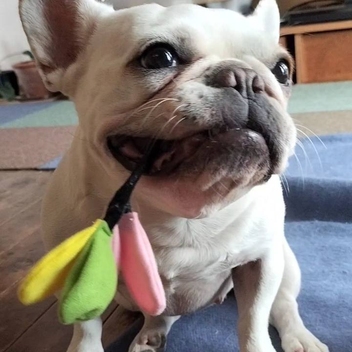 5c4a8b7a bd1d 4cde 926e 937b62f06c1f 1687325910163