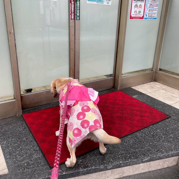 5c4a904c bcca 435d 8629 3cb5eba24343 1628578721832