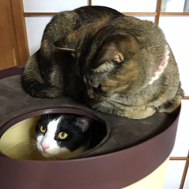 5c4a9214 d509 40ce b24e c69a2b5a5e29 1663578353676