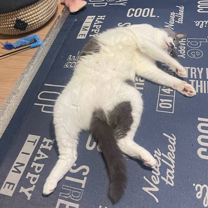 5c4ae2ba 8d27 4cc3 a7f8 1917655b486b 1722437209141