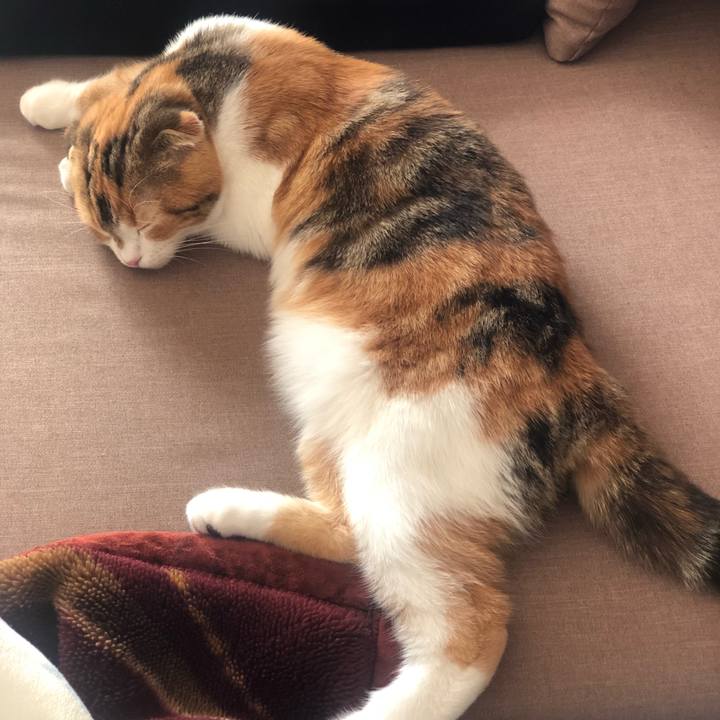 5c4b52b1 0801 4f4d 9d9e f2564316391c 1512878606619