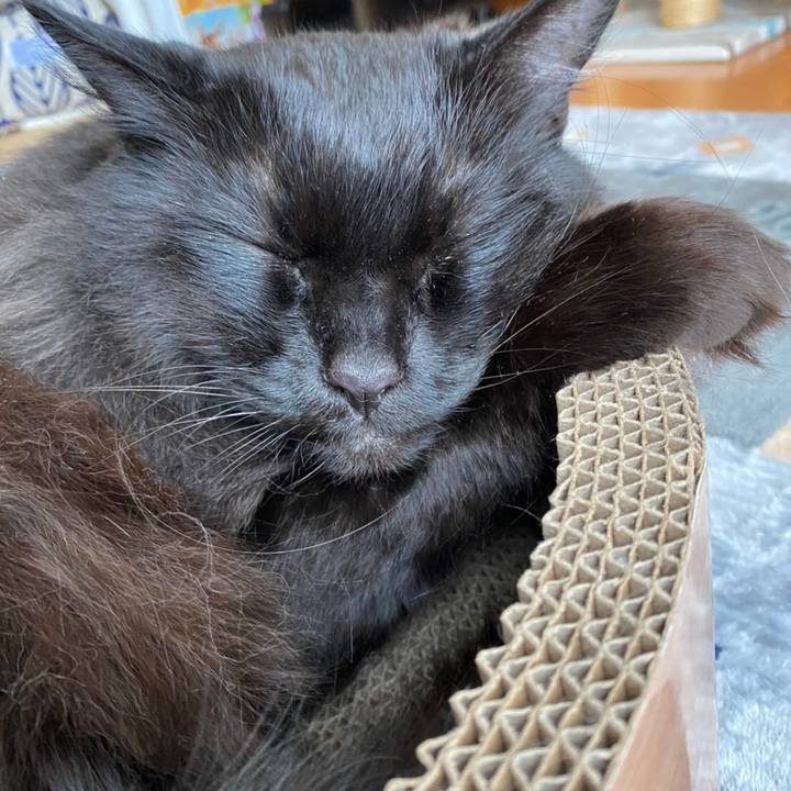 5c4b72f7 e4ff 4ce2 a996 1a196555c735 1582945757513