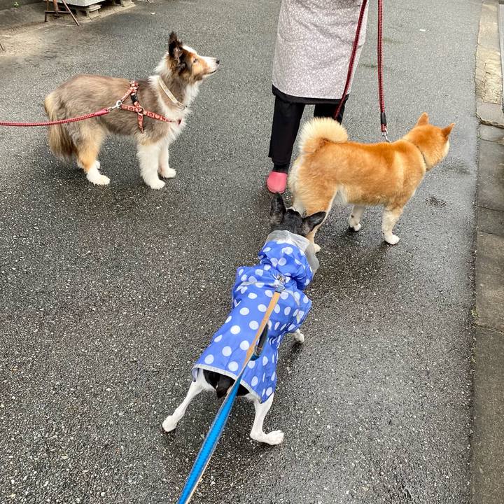 5c4be370 019c 4e67 bb3f d916248bf8f1 1624751335999