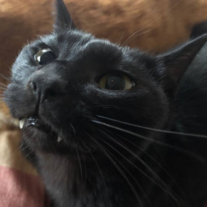 5c4bf6e7 ac82 4734 832c 5f6cf94eb450 1683621682251