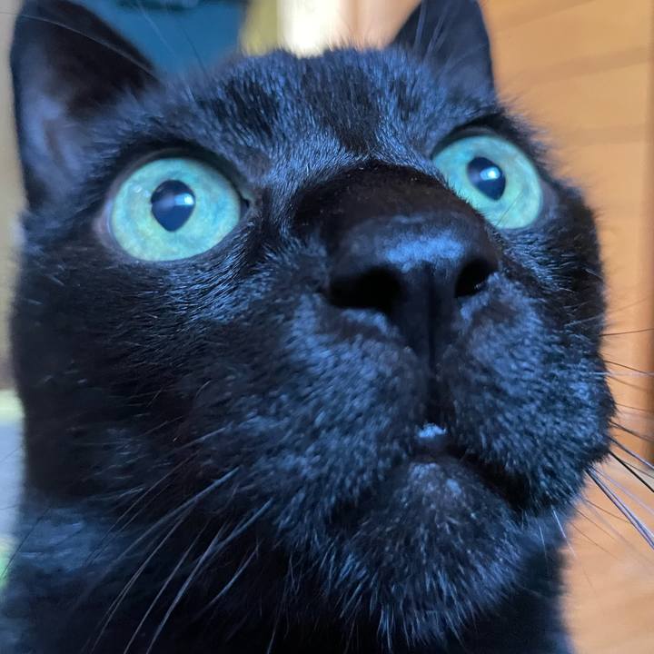 5c4bf996 5971 4938 a01a 81794125c8cb 1636161990801