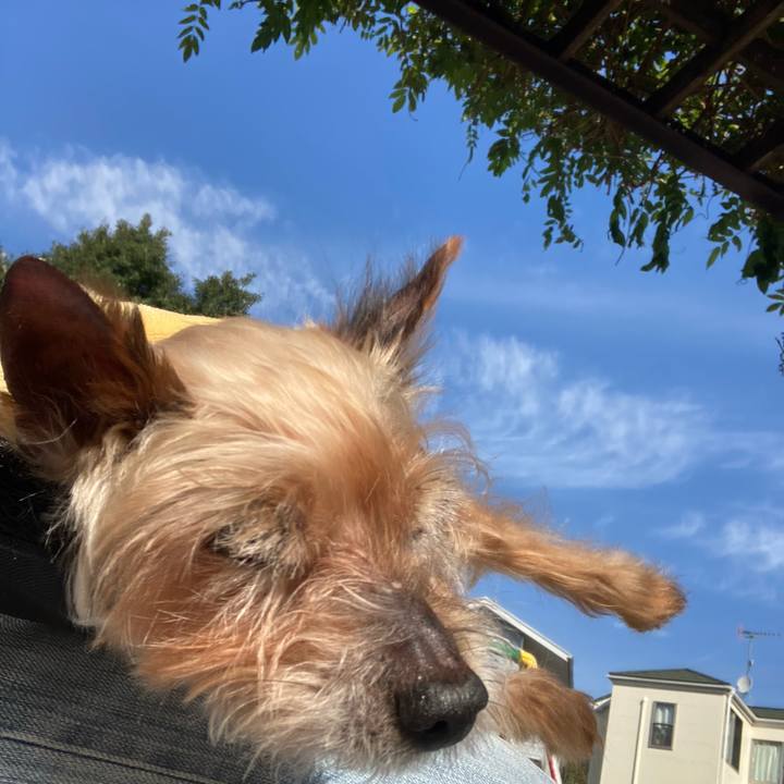 5c4c3df0 5493 4a10 a1c0 0d94940ff398 1699515963382