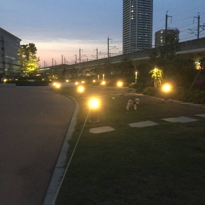 5c4c4a66 4b7b 4e02 a583 ca6f365e0946 1557488718719