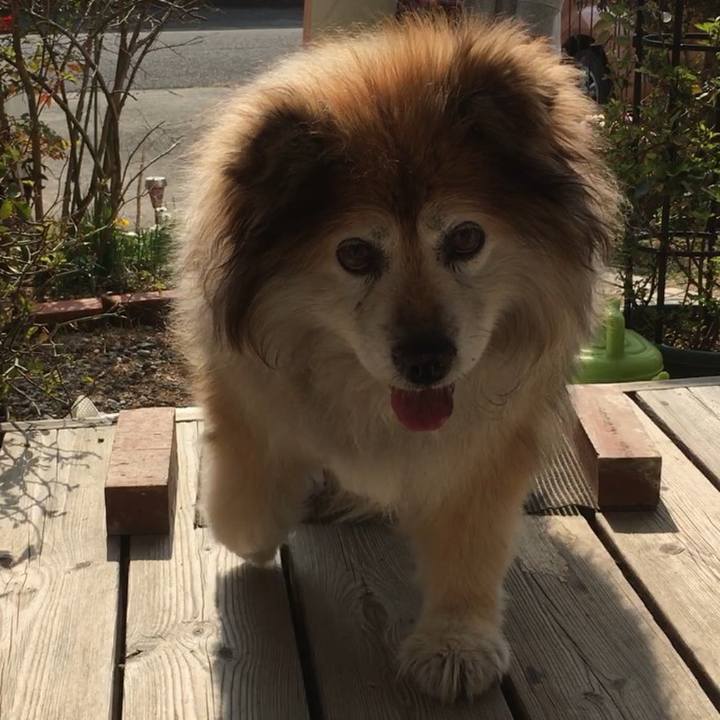 5c4c4b7e b2eb 4a8f 84a8 d13350fe63a0 1577532638409