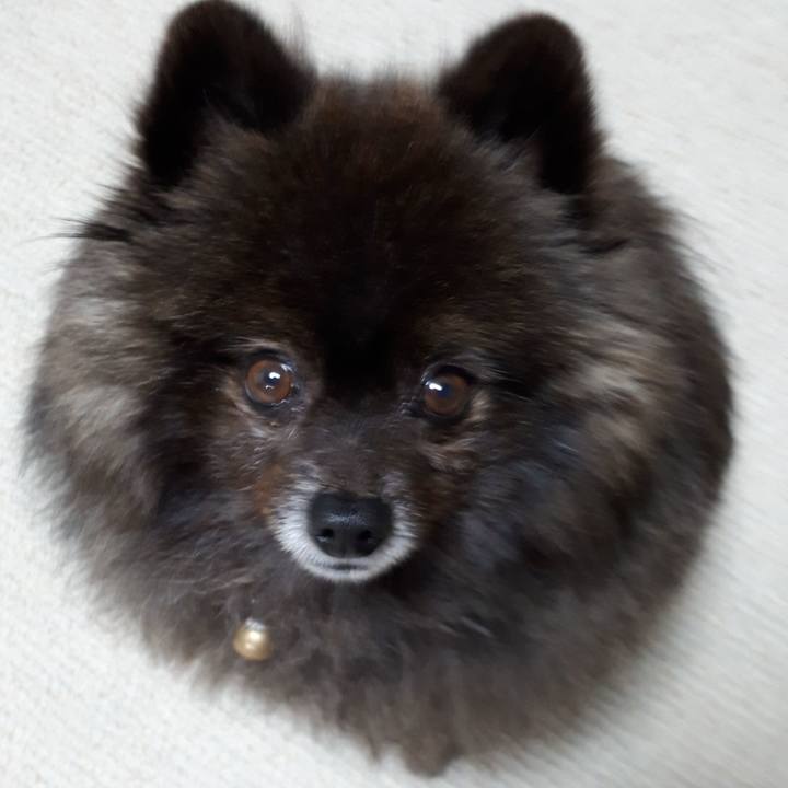 5c4cbc7f 02a1 47b8 86fd dfae479e2140 1520624157860