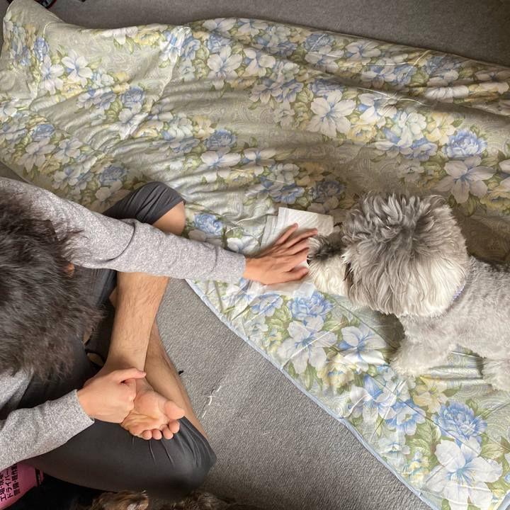 5c4cda28 192a 4992 b010 e5502b1efc0d 1620701785324