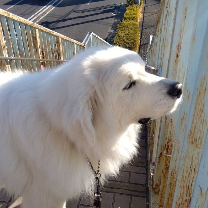 5c4d1998 d31c 4bfb b991 0b90802d2d3a 1673231892180