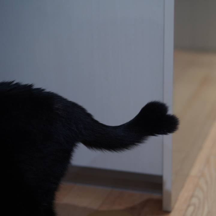 5c4d2ea5 1c3e 42f8 b161 e1e7accc1ed9 1631457696801