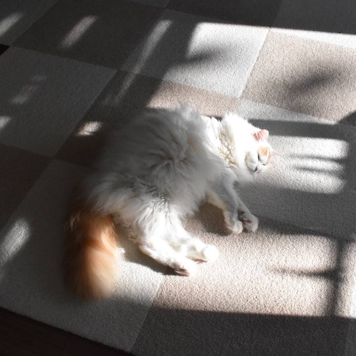 5c4d3824 01c8 42d6 a557 25af398b55b1 1768014684746