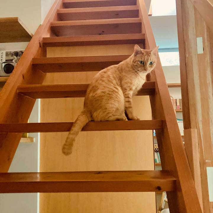 5c4d4a8d 304f 445e a9c9 bb77007fb7cb 1713573004255