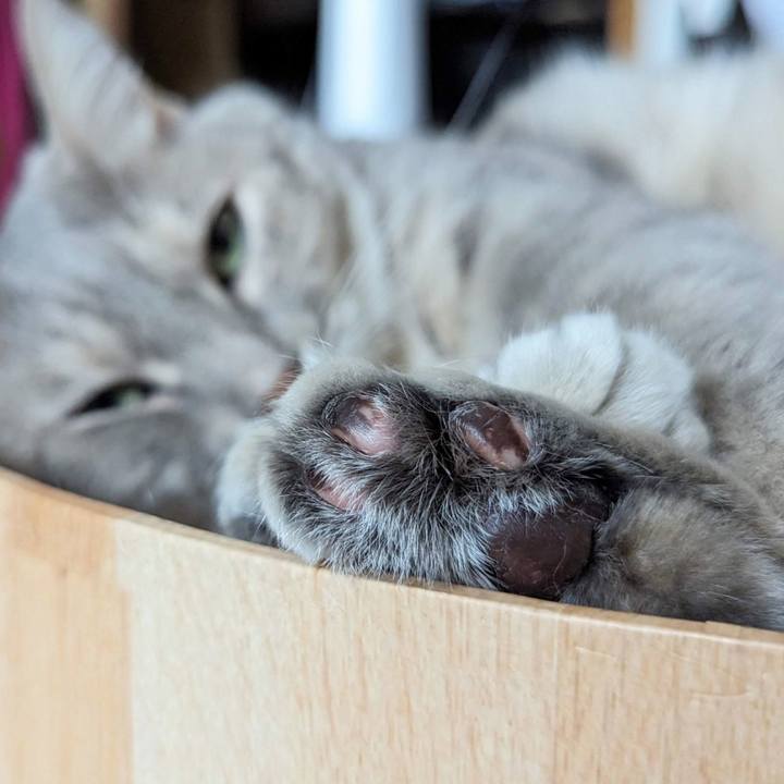 5c4d608e 9f47 42fa bd12 4fdb3ef64ac8 1696566381211