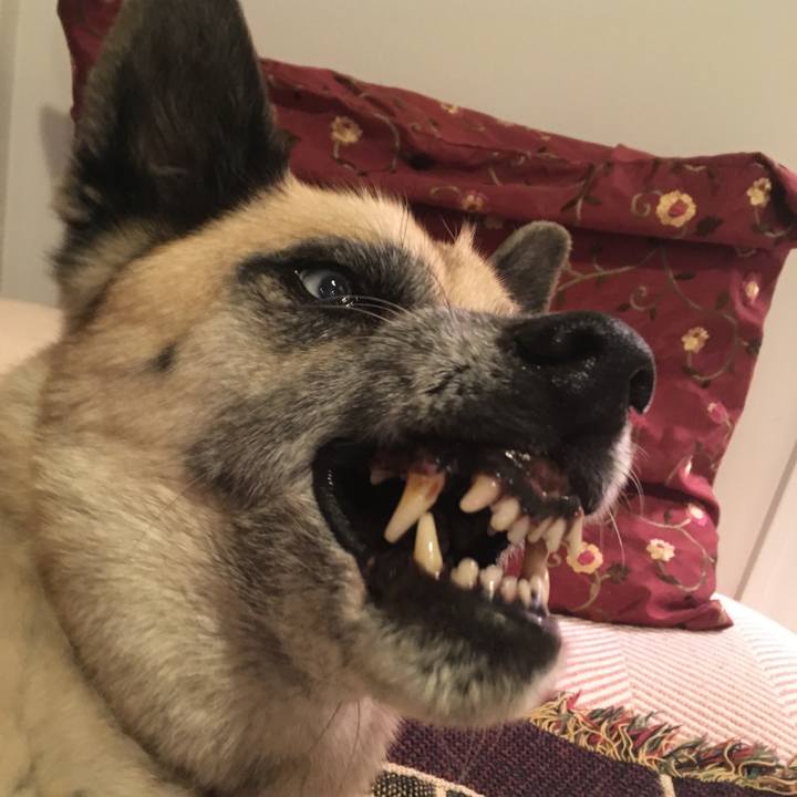 5c4d8641 d674 46e3 ad10 e58f6da3ac33 1549600746108