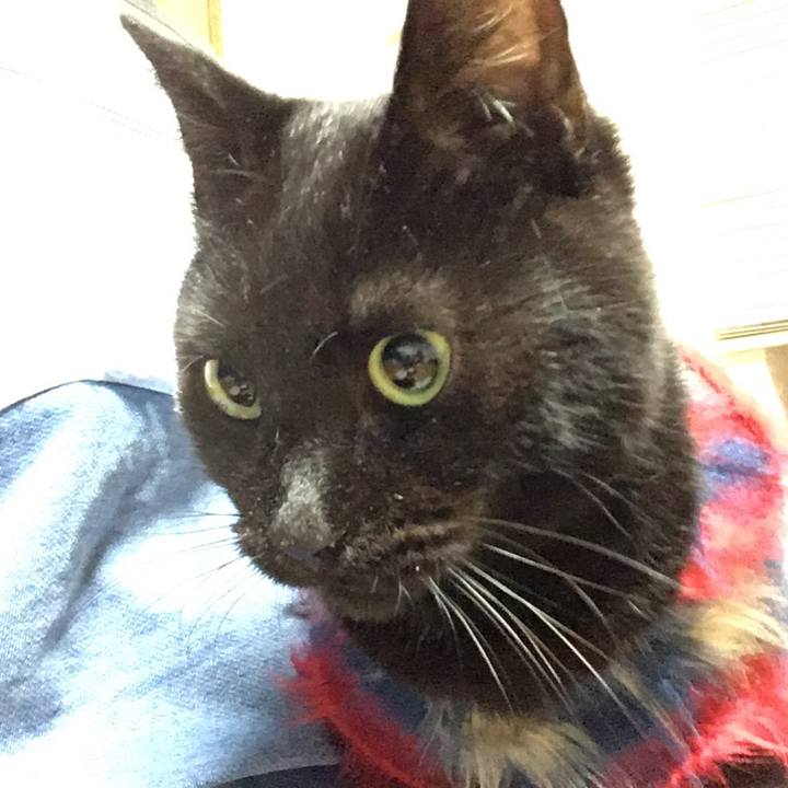 5c4da107 7d05 40b1 b502 56f5baab627a 1542715303766