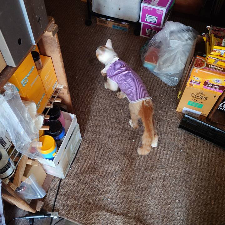 5c4da14d 4785 492a ae3a 816750f5e00e 1771816109583