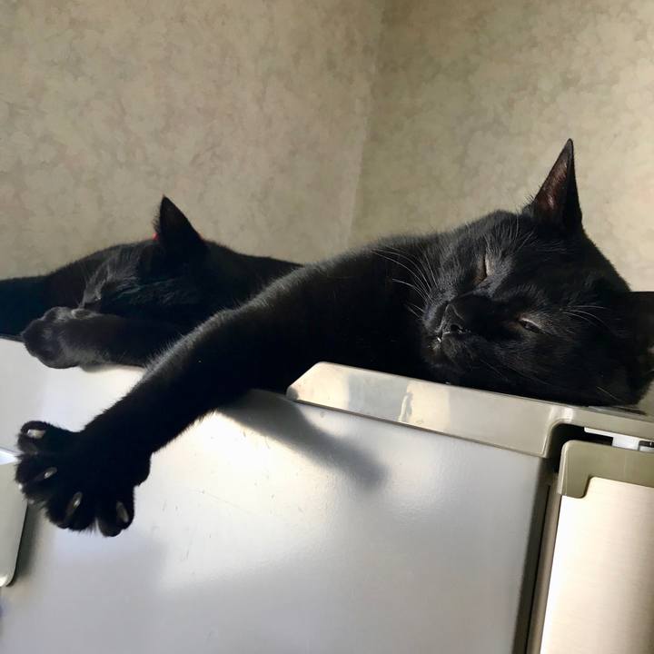 5c4df463 a351 446d 8b2f cfe3a84b9754 1527817481285