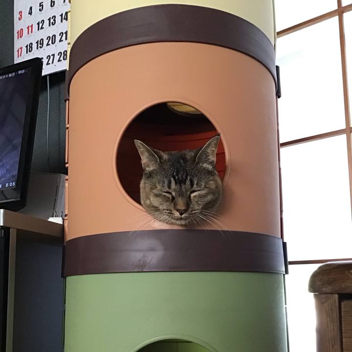 5c4e2ef9 4546 4472 8003 b37fb71d9ce2 1754722274857