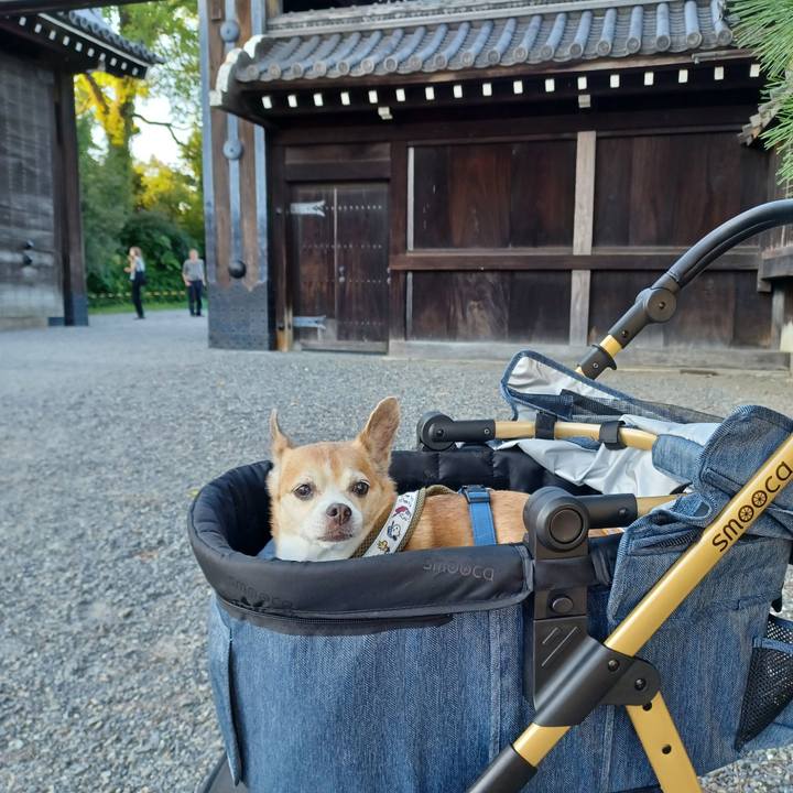 5c4e3ace f62a 4d92 8f0b 861f2528baa5 1758962733712