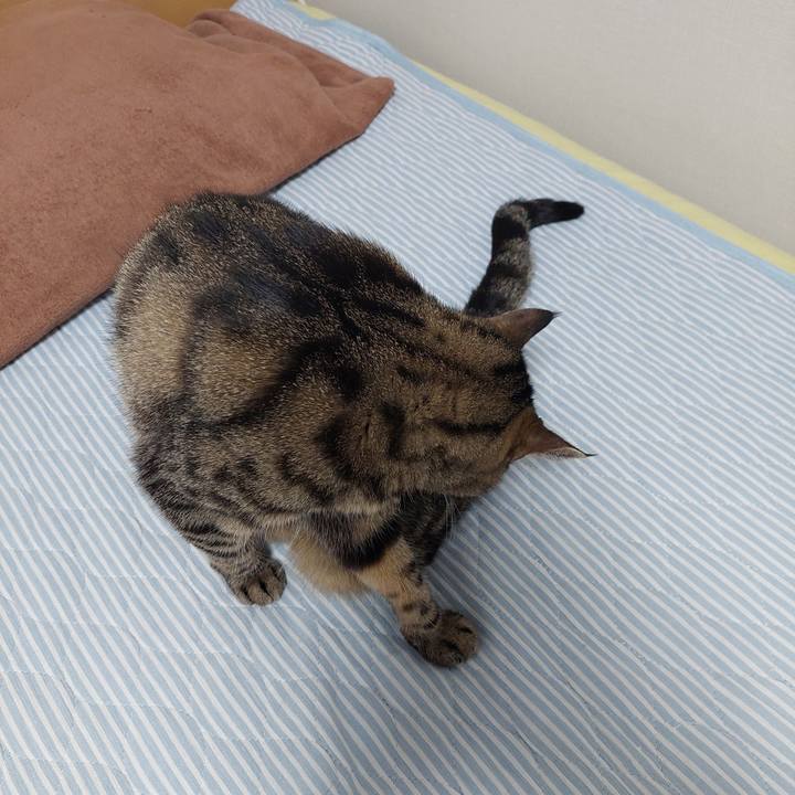 5c4e7b2e 1974 497a b939 8ceb672b3aeb 1632691447455